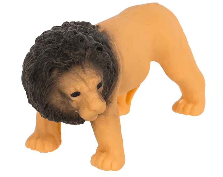 León elástico de 13 cm