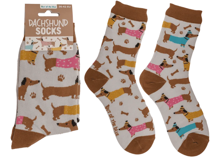 Calcetines perro salchicha con jerséis de colores, presentación Dachshund Socks