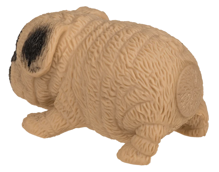 Vista frontal del perro squishy